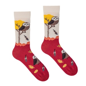 Veselé ponožky Veveričiak