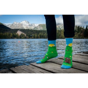 Veselé ponožky Vysoké Tatry – Medveď