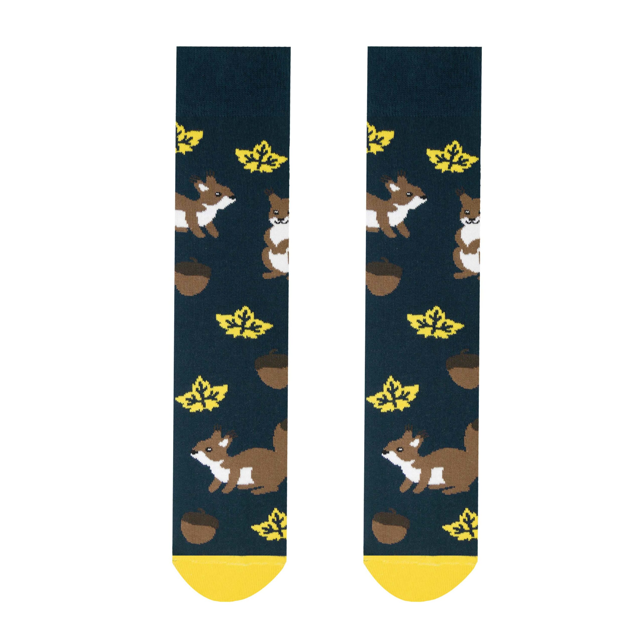 Veselé ponožky Veverička